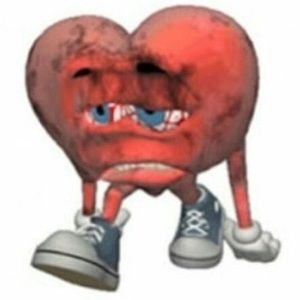 Meet your Posher, Gavin